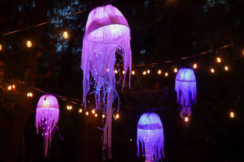Photo by Matt Sagen/ Cascadia Films/ Jellyfish by Nicole Johnson was one of many light installations at the Port Angeles Fine Arts Centers Light Art Experience in 2023. The event reopens on Friday, Nov. 29.