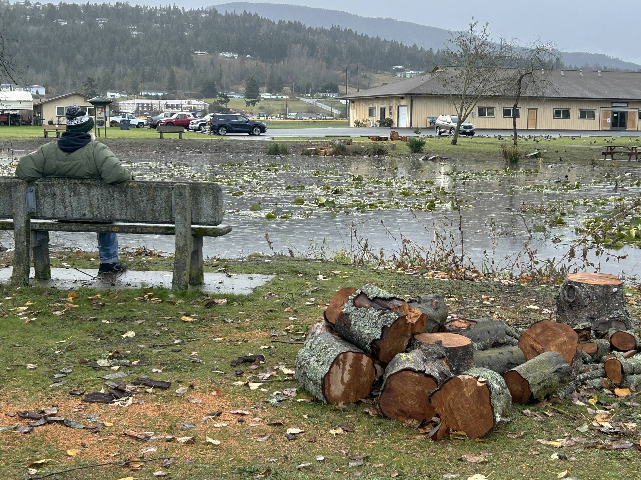 Sequim Gazette photos by Matthew Nash
Prior to high winds from the bomb cyclone storm hitting Sequim on Nov. 19, City of Sequim crews cut down and/or removed some trees around Carrie Blake Community Park to prevent any possible injuries or structures from being damaged.