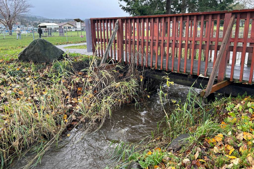 Bell Creek flows quickly on Nov. 20 through Carrie Blake Community Park and by the Sequim Dog Park.