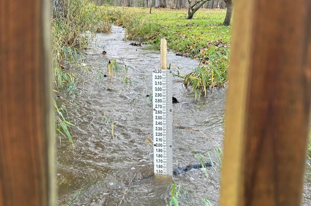 Sequim Gazette photo by Matthew Nash/ Bell Creek flows quickly on Nov. 20 through Carrie Blake Community Park following the bomb cyclone storm that hit the West Coast and caused power outages across the state.
