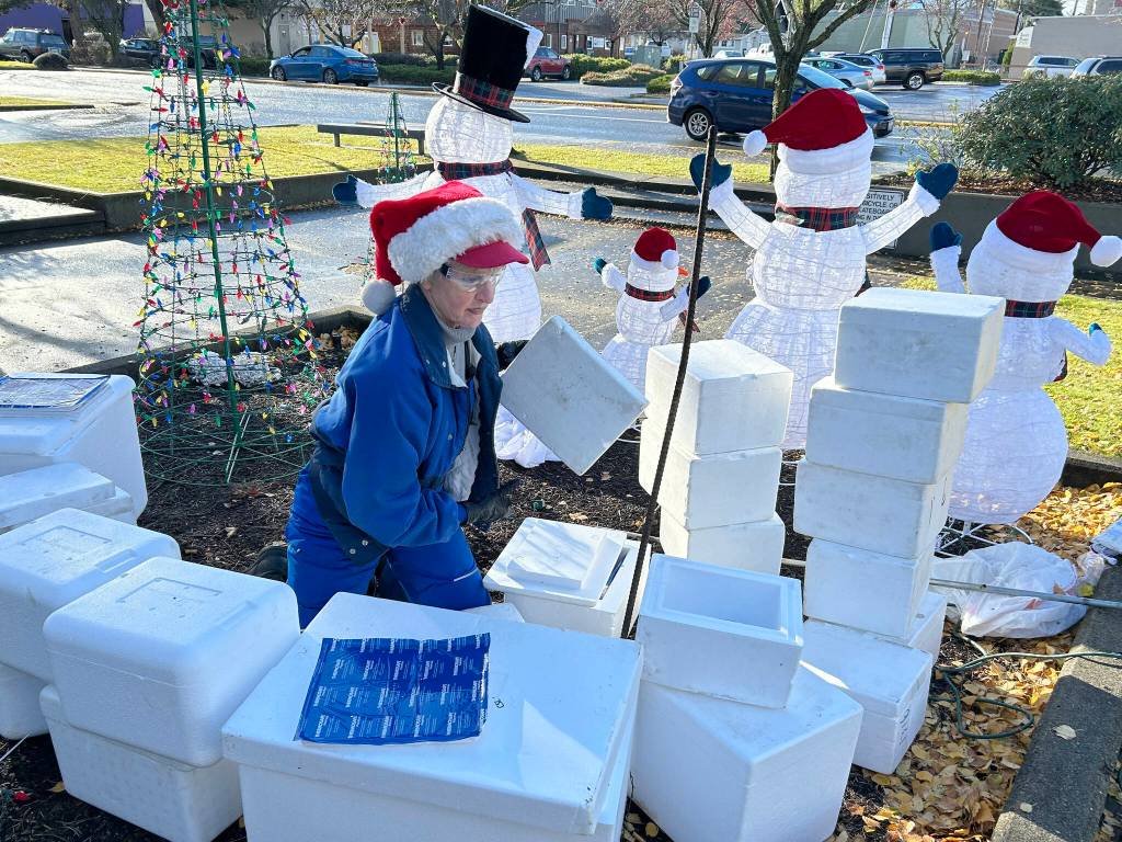 Sequim Gazette photo by Matthew Nash
Captain Crystal Stout stacks foam coolers to form an igloo for a snowman family on Nov. 20. She and other volunteers decorated the 1st Security Bank park and downtown Sequim throughout the week.
