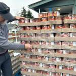 Sequim Gazette photo by Matthew Nash/ Brad Allwine opens up packaging for yams to be packed for Sequim residents on Nov. 21 for Thanksgiving through the Sequim Food Bank.