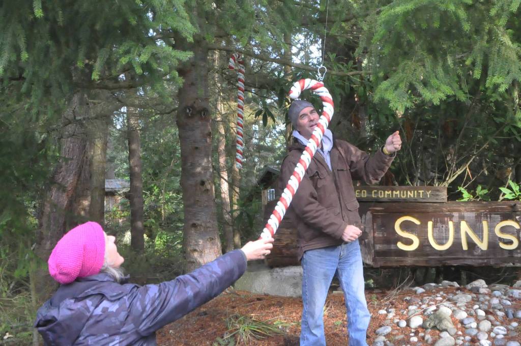 Sequim Gazette photo by Matthew Nash/ Couple Matt and Maria Freed work together to string candy canes from a tree by Sunshine Acres in Diamond Point. The couple said they enjoy how festive neighbors are during Christmas. I love going down the lane, Maria said. This is just a neat neighborhood.