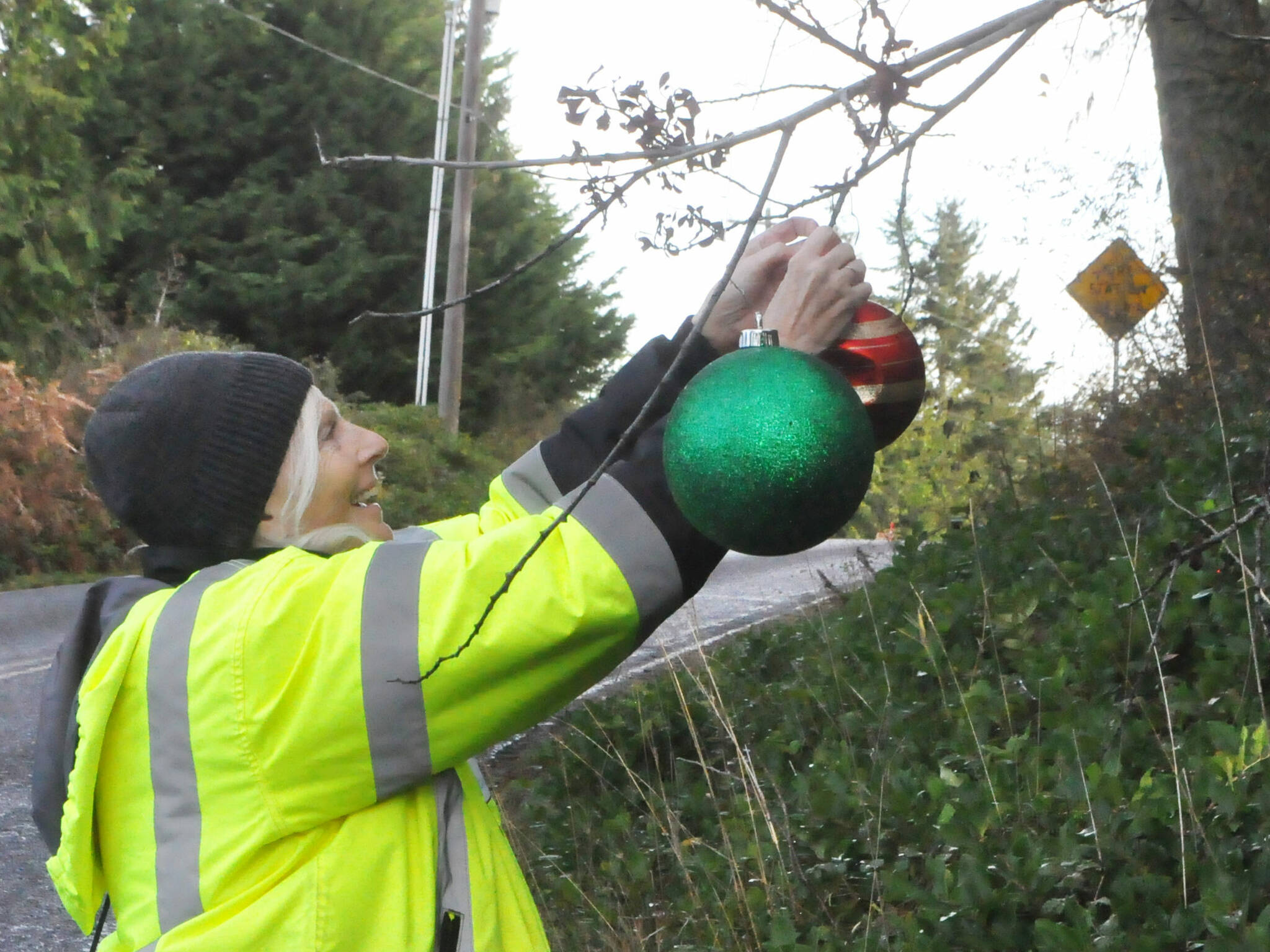 Sequim Gazette photos by Matthew Nash
Debbie Long of Diamond Point places ornaments along Diamond Point Road on Nov. 23 for the areas Holiday Lane tradition.