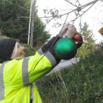 Sequim Gazette photos by Matthew Nash
Debbie Long of Diamond Point places ornaments along Diamond Point Road on Nov. 23 for the areas Holiday Lane tradition.
