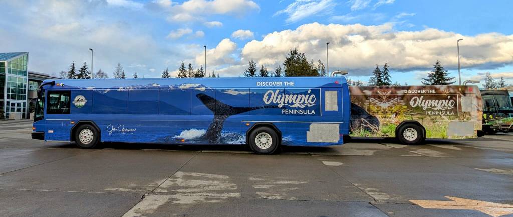 Photo courtesy Clallam Transit
Photographers John Gussman of Sequim and Becky Stinnett of Port Angeles contributed their work to Clallam Transit Systems four wrapped buses that feature wildlife and landscapes on the Olympic Peninsula.