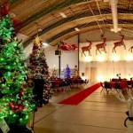 Dave Logan for Olympic Peninsula News Group
Dozens of trees were decorated inside the Vern Burton Community Center in Port Angeles for the 34th Festival of Trees event.