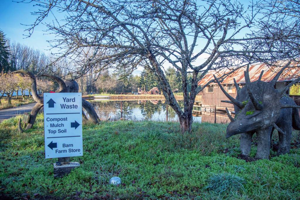 Sequim Gazette photo by Emily Matthiessen/ Large concrete animals, made by artist Donald Miller, stand their ground at a junction of roads at Lazy J Tree Farm.