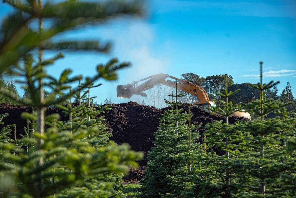 Sequim Gazette photo by Emily Matthiessen/ Graham Johnson turns over compost at the Lazy J Tree Farm.