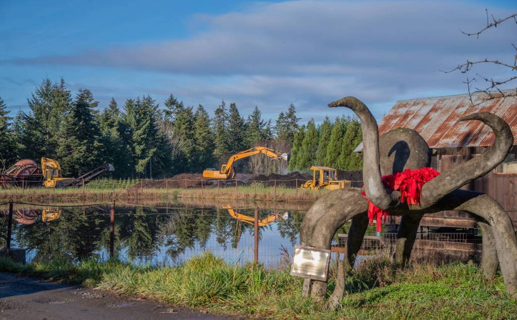 Sequim Gazette photo by Emily Matthiessen/ A giant concrete octopus, made by artist Donald Miller, appears to watch the activities at Lazy J Farms yard waste, mulch and compost facilities.