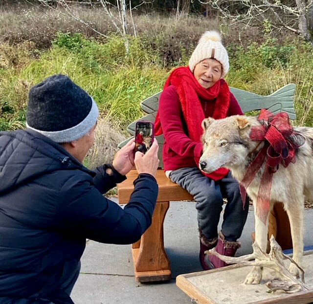 Photo courtesy Tim Shank
Hana Manaka has her photo taken with a wolf at the Holiday Nature Mart at the Dungeness River Nature Center on Nov. 24. Manaka recently celebrated turning 100, and volunteers gifted her items from the holiday fundraiser to help her celebrate.