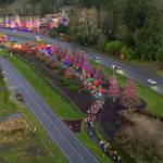 Participants depart from the Run the Peninsula Glow Run on Dec. 7. Organizers said more than 600 people joined the event in Blyn.
Photo courtesy John Gussman, <a href="https://www.dcproductions.com" target="_blank">www.dcproductions.com </a>