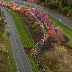 Participants depart from the Run the Peninsula Glow Run on Dec. 7. Organizers said more than 600 people joined the event in Blyn.
Photo courtesy John Gussman, <a href="https://www.dcproductions.com" target="_blank">www.dcproductions.com </a>