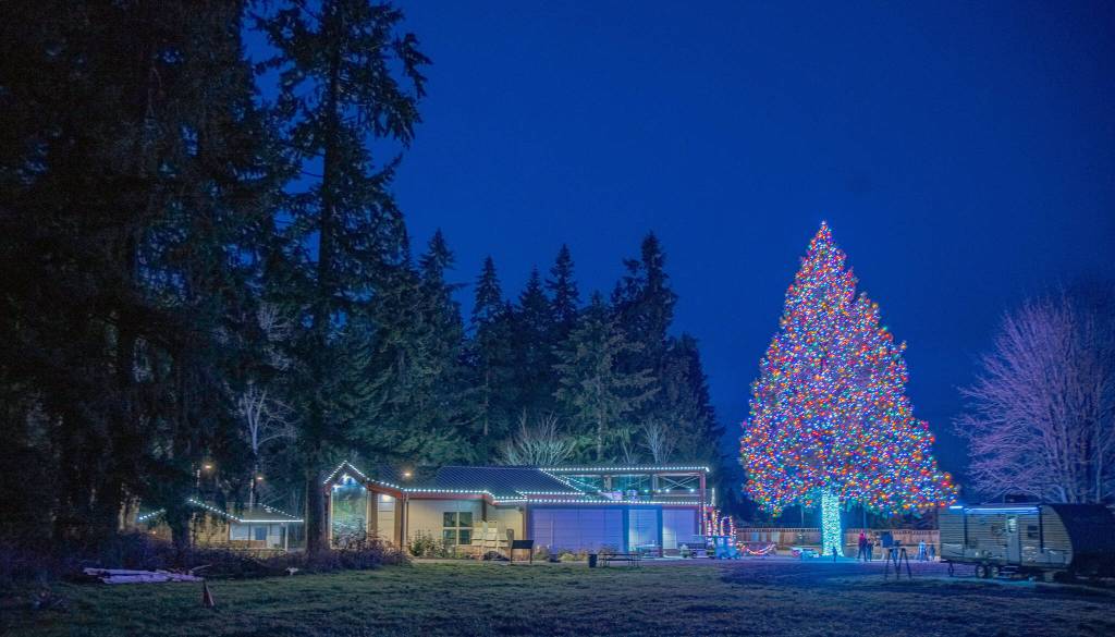 Sequim Gazette photo by Emily Matthiessen How many lights would you say are on this 90-foot tree? Spoiler alert: a lot! Staff at the Dungeness River Nature Center held a contest on social media asking just that and they revealed on Dec. 20 there are 11,684 lights! They awarded a gift card for a guess of 12,000. The lights will be up in Railroad Bridge Park at 1943 W. Hendrickson Road in Sequim through the end of December. Jamestown SKlallam Tribe contracts P. Walker Inc. to place more than three million lights at its businesses and campuses each year. See more photos of the bridge and centers lights at the Gazettes website.