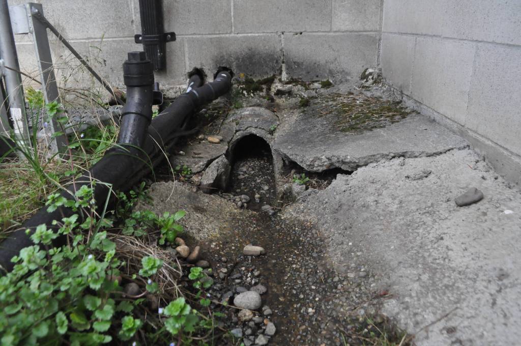 Sequim Gazette photo by Matthew Nash/ Sequim School District staff say that water is supposed to drain through a pipe from the main Transportation Center building and out the other side, but they believe its draining underneath the building and possibly causing a sinkhole.