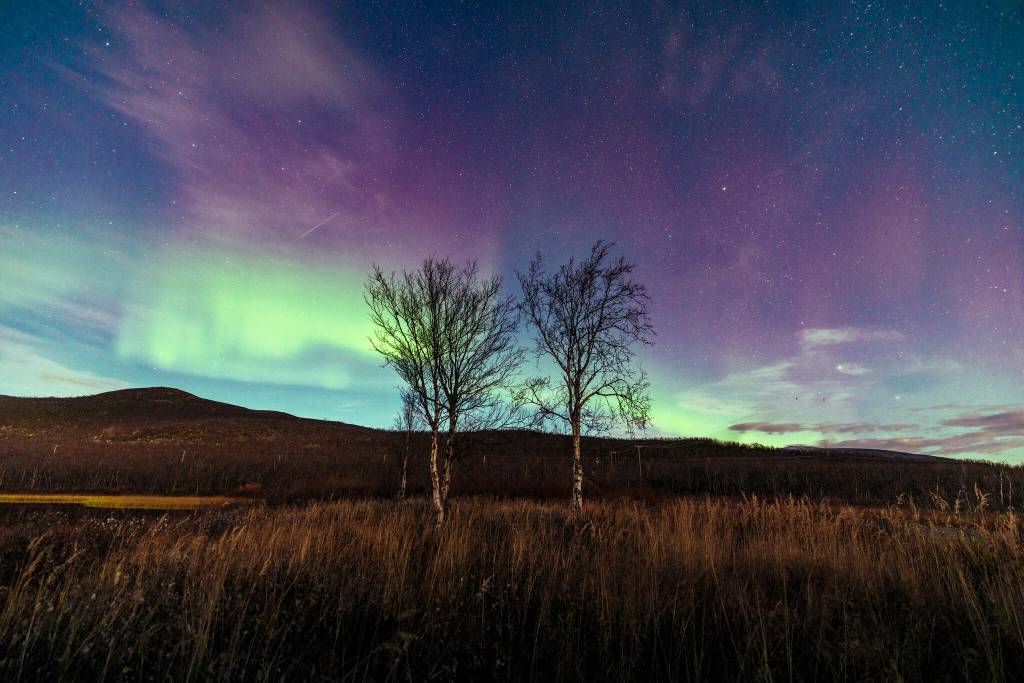 Photo by Belinda Shi/ During a tour of the northern lights, the Shi familys travels extended beyond Norway to Finland and Sweden.
