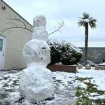 A snowman stands tall in the alley with a palm tree and the Sequim Police Department in the background.