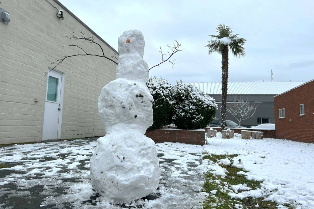 A snowman stands tall in the alley with a palm tree and the Sequim Police Department in the background.