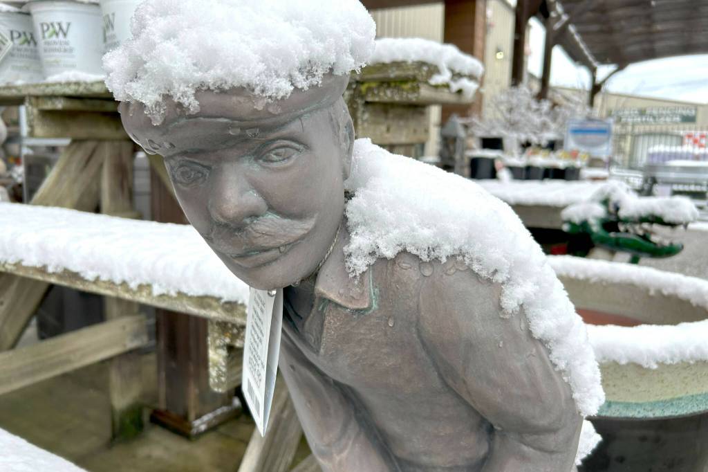 This golfer statue at the Co-Op Farm and Garden seems unsure of the snow as he lines up a putt.