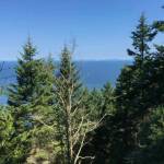 Photo by Warren Wilson| The state is looking to turn Miller Peninsula, a 2,800-acre undeveloped park east of Sequim, into a destination state park with a visitors center, cabins, picnic areas and more. Some locals oppose the move.