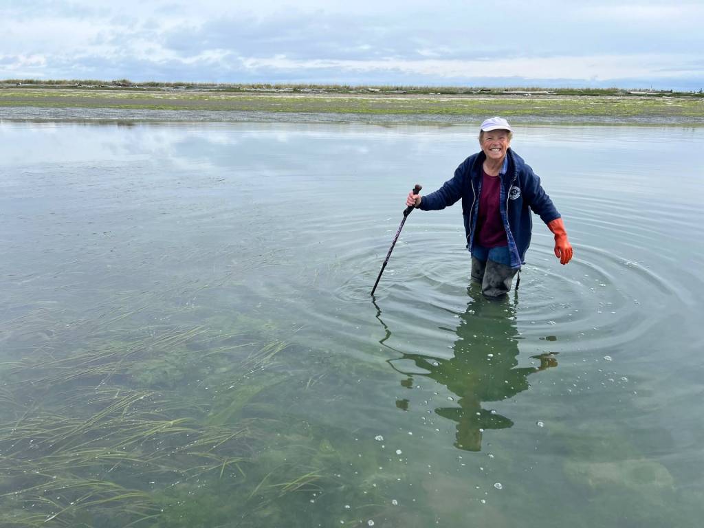 Photo courtesy Jamestown SKlallam Tribe
A volunteer helps at the Dungeness National Wildlife Refuge detect and trap European green crab. The refuge seeks more volunteers for various shifts from April to September/October by emailing Volunteer Coordinator Leshell Michaluk-Bergan at leshell@dungenessrivercenter.org.