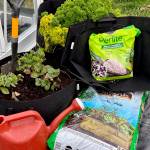 Courtesy photo
For gardeners seeking a flexible, portable and affordable way to garden, grow bags can provide an option.