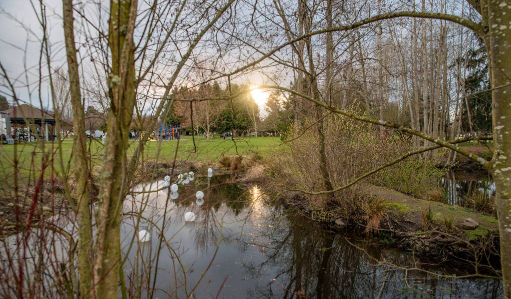 Sequim Gazette photo by Emily Matthiessen/ The sun begins its descent during the Sequim Sunshine Festival at Carrie Blake Park on Saturday.
