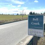 Sequim Gazette photo by Matthew Nash 
The 104-lot Bell Creek Major Subdivision (with its property pictured north of the roadway) and 24-lot Bella Vista Estates were recently approved by the City of Sequims Hearing Examiner Peregrin Sorter.