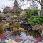 Sequim Gazette photo by Emily Matthiessen/ The centerpiece of New Dungeness Nursery, this waterscape provides a peaceful place for people to pause during the day, according to foreman Stew Cockburn.