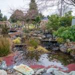 Sequim Gazette photo by Emily Matthiessen/ The centerpiece of the New Dungeness Nursery, this waterscape provides a peaceful place for people to pause during the day, according to foreman Stew Cockburn.
