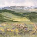 Photo courtesy of Blue Whole Gallery| Fence Line by Jolene Sanborn.