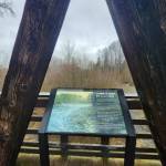 Photo courtesy of Dungeness River Nature Center| Thanks to a partnership that included the community and the Jamestown SKlallam Tribe, the Dungeness River Nature Center has new interpretive signage.