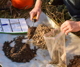 Photo courtesy of Clallam County Master Gardeners
Soil testing provides important insights about nutrient levels, pH balance, and overall soil health.