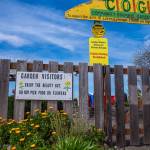 Sequim Gazette photo by Emily Matthiessen/ The Community Organic Gardens of Sequim (COGS) is divided into plots which people pay a small yearly fee to call their own, and communal areas that are of shared responsibility. They come together for work parties, like this one which they hold in early spring every year.