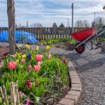 Sequim Gazette photo by Emily Matthiessen/