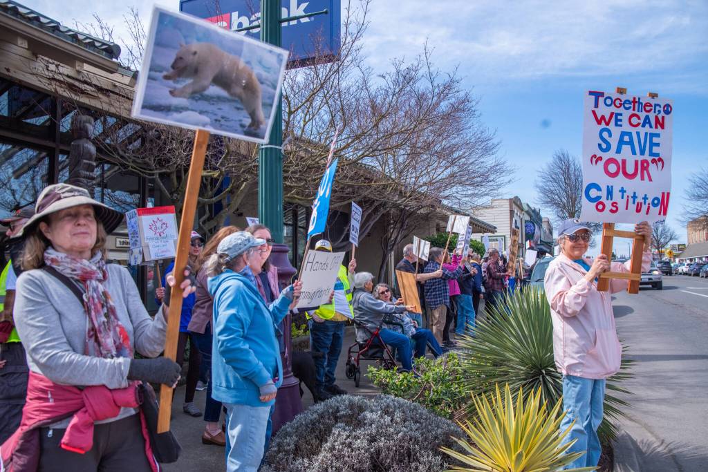 Sequim Gazette photo by Emily Matthiessen/ According to a clicker count by volunteers with Sequim Indivisible, 1298 people turned out by 11:45 a.m., with nearly 1400 people counted by 2:00 p.m. during Sequims version of the Hands Off  protests held across the nation and in other countries on Saturday. The protest was peaceful and orderly, according to police, organizers and protesters and featured a range of protest signs.