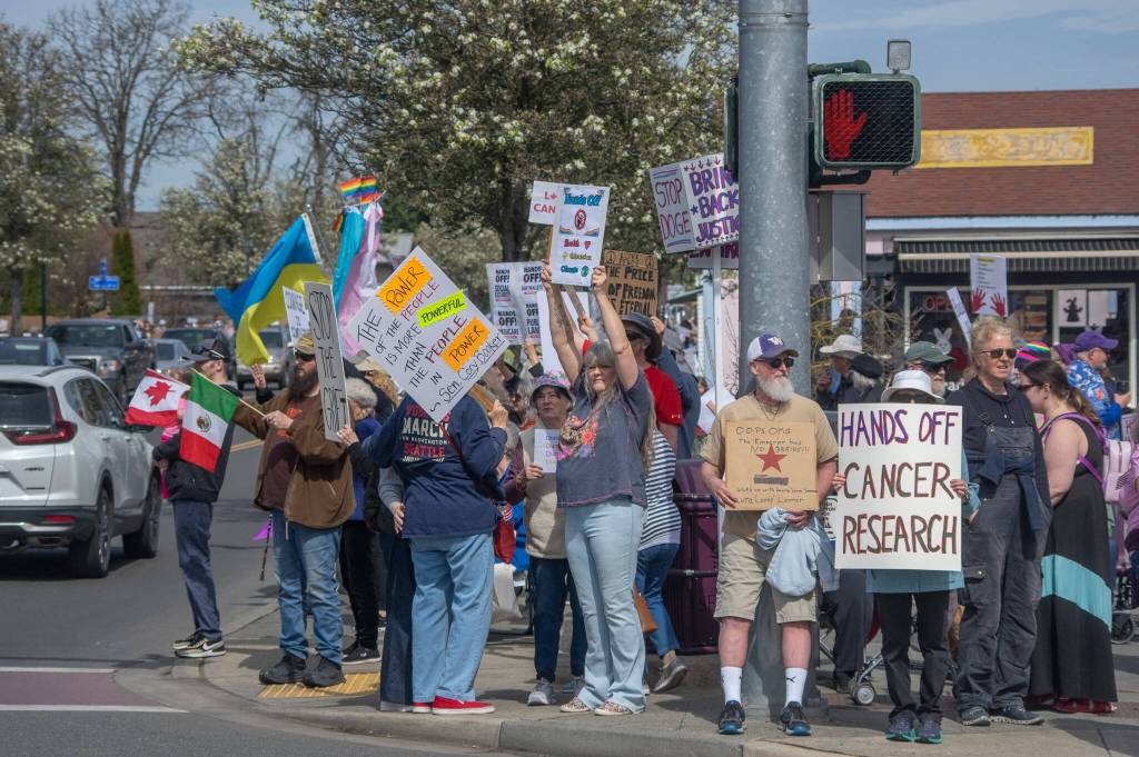 Sequim Gazette photo by Emily Matthiessen/ According to a clicker count by volunteers with Sequim Indivisible, 1298 people turned out by 11:45 a.m., with nearly 1400 people counted by 2:00 p.m. during Sequim's version of the "Hands Off " protests held across the nation and in other countries on Saturday. The protest was peaceful and orderly, according to police, organizers and protesters and featured a range of protest signs.