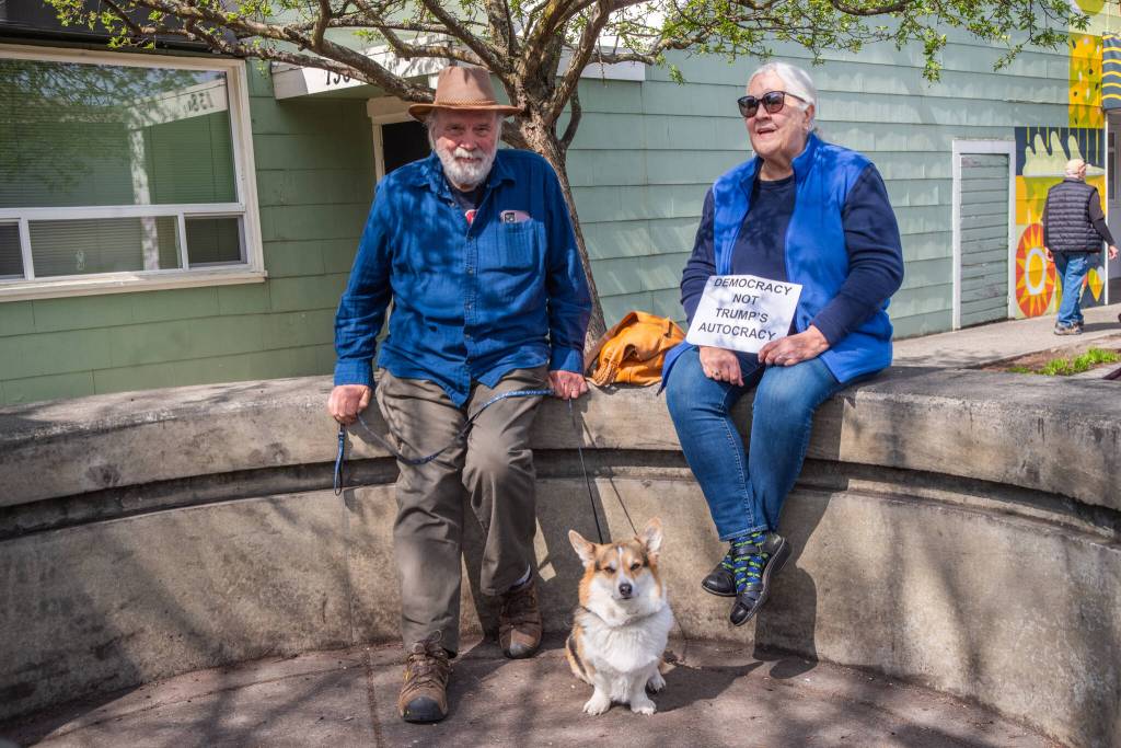 Sequim Gazette photo by Emily Matthiessen/ According to a clicker count by volunteers with Sequim Indivisible, 1298 people turned out by 11:45 a.m., with nearly 1400 people counted by 2:00 p.m. during Sequim's version of the "Hands Off " protests held across the nation and in other countries on Saturday. The protest was peaceful and orderly, according to police, organizers and protesters and featured a range of protest signs.