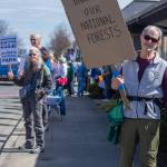 Sequim Gazette photo by Emily Matthiessen/ According to a clicker count by volunteers with Sequim Indivisible, 1298 people turned out by 11:45 a.m., with nearly 1400 people counted by 2:00 p.m. during Sequim's version of the "Hands Off " protests held across the nation and in other countries on Saturday. The protest was peaceful and orderly, according to police, organizers and protesters and featured a range of protest signs.