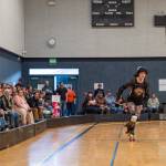 Sequim Gazette photo by Emily Matthiessen/ The Scandals second bout of the season, in Sequim against Tacomas Dockyard Roller Derby team Undertow, resulted in a 158-132 loss.