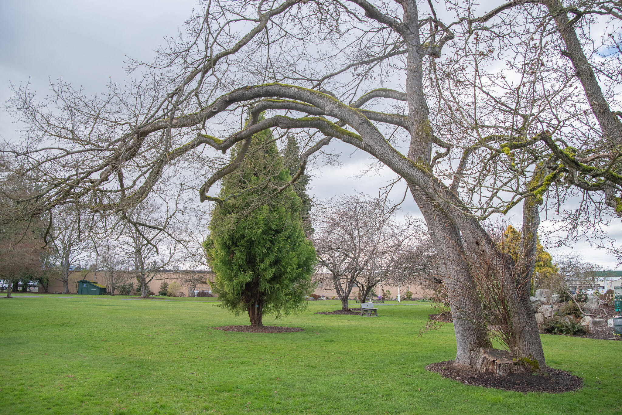 Sequim Gazette file photo by Emily Matthiessen
At 1 p.m. Saturday, April 19, the Sequim Prairie Garden Club will dedicate a refurbished Remembrance Garden and a new Sundial Garden at Pioneer Memorial Park.