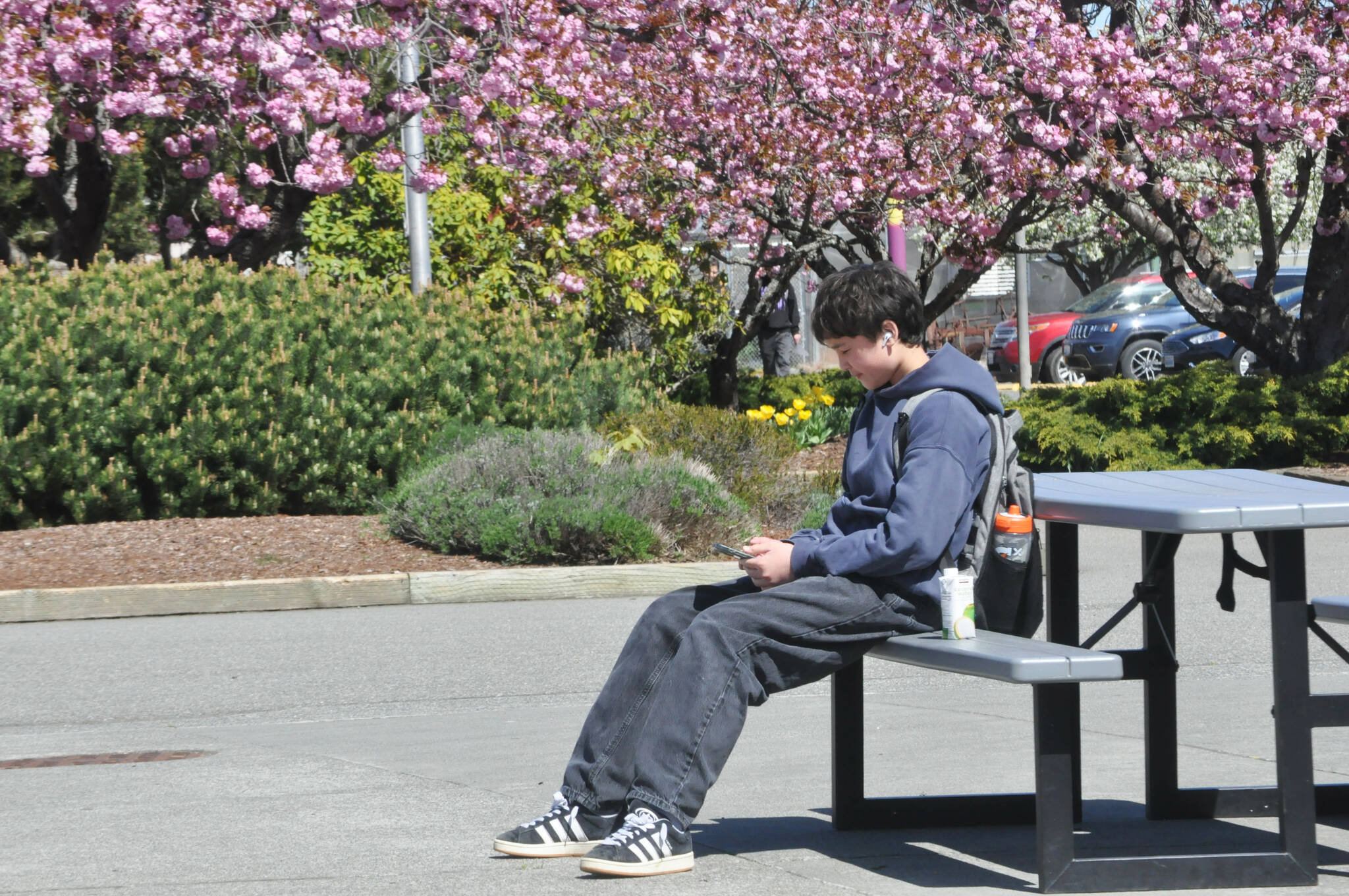 Sequim Gazette photo by Matthew Nash/ Sequim High School freshman Sebastian Greimes sits outside during a recent lunch break. He opposes a total ban on cell phones as he feels it could be more harmful than helpful as some students need to communicate with parents or their work. Sequim School District leaders plan to send out a survey in June asking families and school staffers their thoughts on cell phone usage in schools.