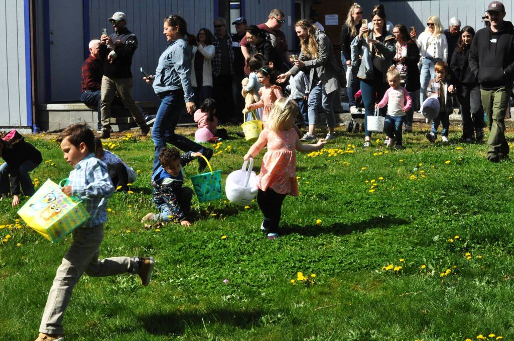 Sequim Gazette photo by Matthew Nash/ Children ages 3-5 begin their hunt at the Sequim Elks Lodge for eggs on April 19.