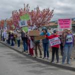 Sequim Gazette photo by Emily Matthiessen
Lines of protestors stood from near Dairy Queen on Washington Street and Seventh Avenue to near West Side Pizza on Saturday, April 19, to protest the Trump administrations policies and actions as part of National Day of Action, organized by 50501 and other groups. At least 500 people participated in the latest Sequim rally, according to organizer Chris Walker. We got a pretty good count even with the ebb and flow of people coming and going, she said. It was a peaceful event with people connecting with each other in solidarity.