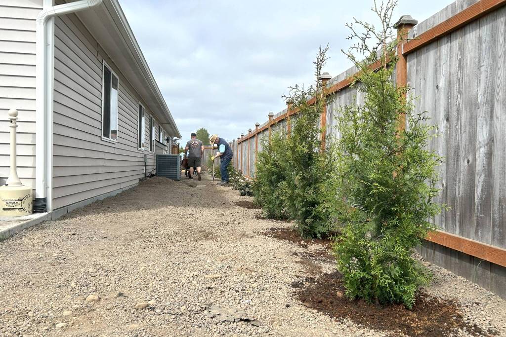 Sequim Gazette photo by Matthew Nash/ Volunteers placed bark and planted trees, bushes and flowers at LtCol Minsky Place on April 26 for Sequim Beautiful Day.