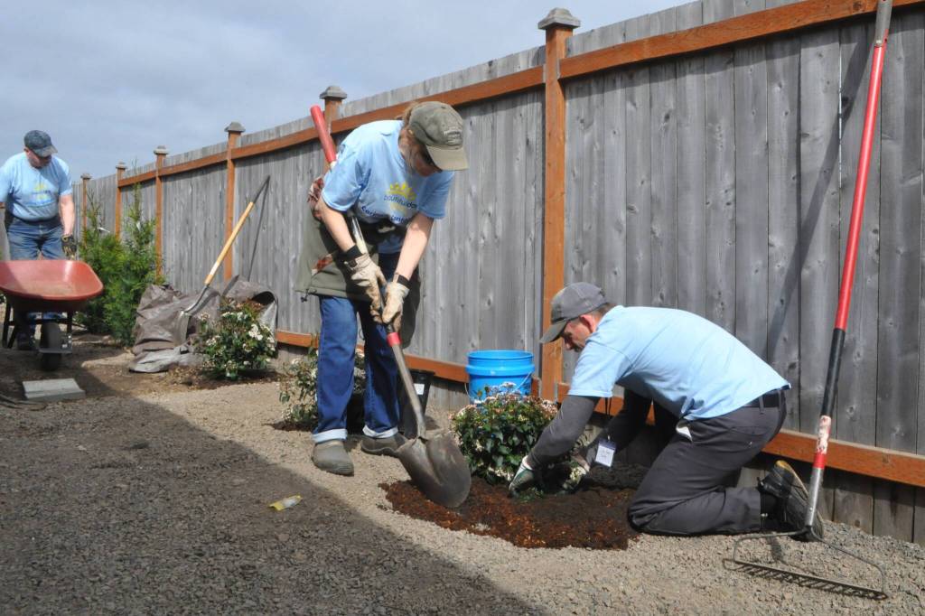 Sequim Gazette photo by Matthew Nash/ Volunteers placed bark and planted trees, bushes and flowers at LtCol Minsky Place on April 26 for Sequim Beautiful Day.
