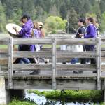 Sequim Gazette photo by Matthew Nash/ The Sequim Middle and High School Thunder Drumline makes its way across the bridge in the Water Reuse Demonstration pond in Carrie Blake Community Park during the Kids Parade on May 3.