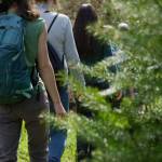 Photo courtesy of DRNC| The Dungeness River Nature Centers Wildflower Walk Series offers nature lovers guided hikes.