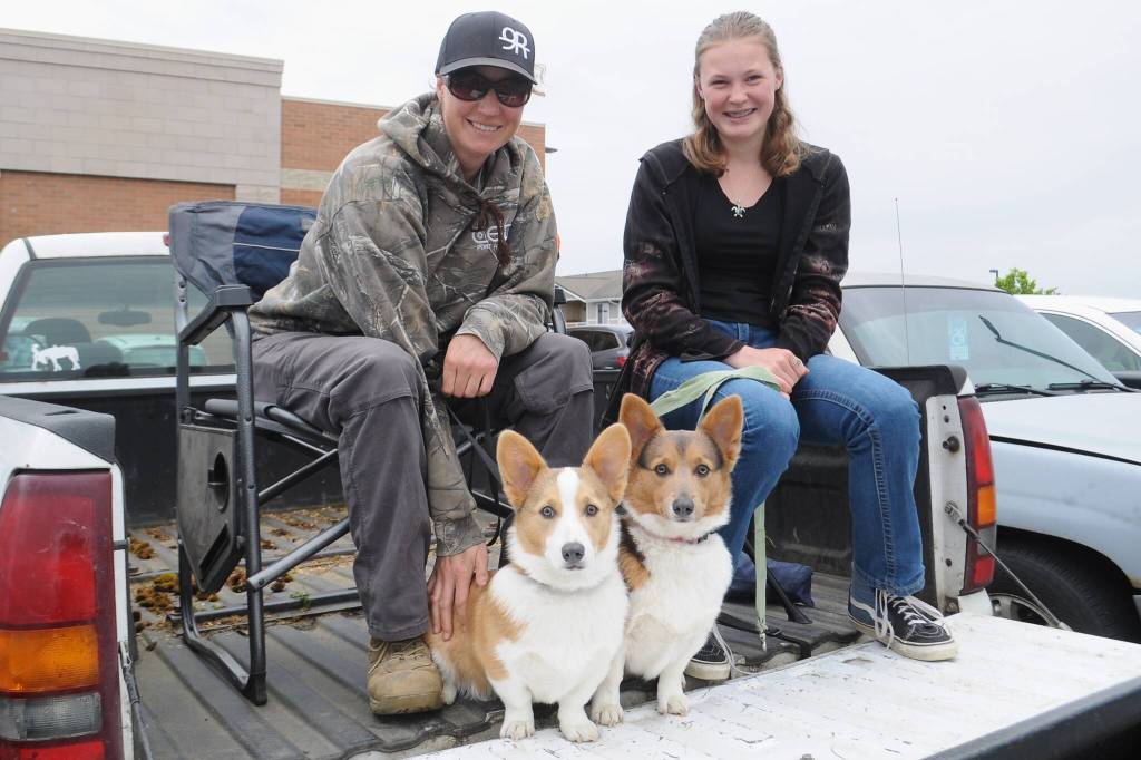 Sequim Gazette photo by Matthew Nash
Sarah and Kenna Bradley of Sequim watch the Grand Parade from their truck bed with corgis Winnie and Wanda. The family has come every year to the parade, they said, and this was Winnies second time and Wandas first.