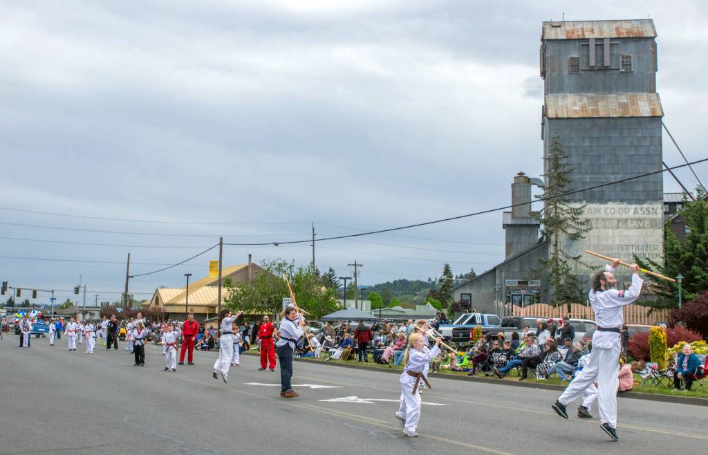 Sequim Gazette photo by Emily Matthiessen/ Martial arts teachers and students with White Crane Martial Arts demonstrate their moves during Sequims Irrigation Festival Parade.